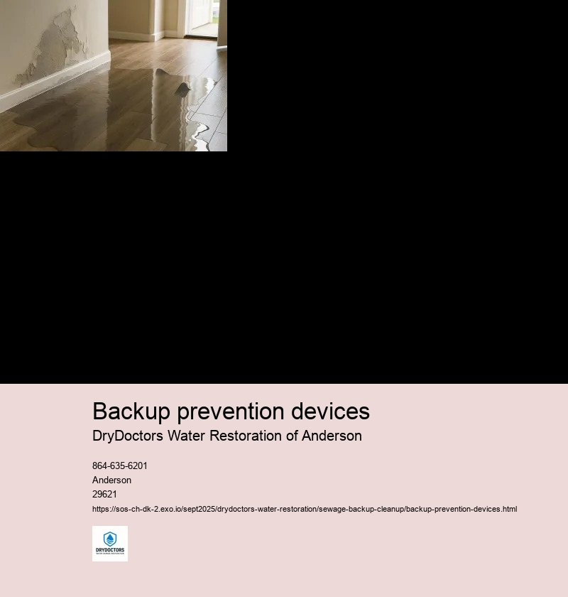 Importance of Backup Prevention Devices