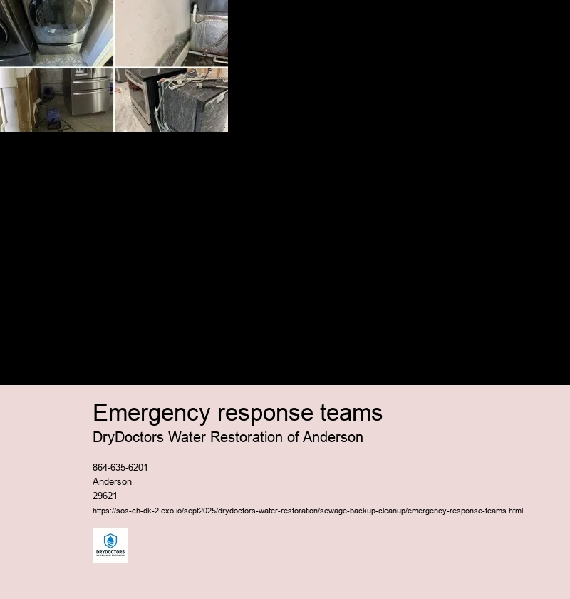 Personal Protective Equipment (PPE)