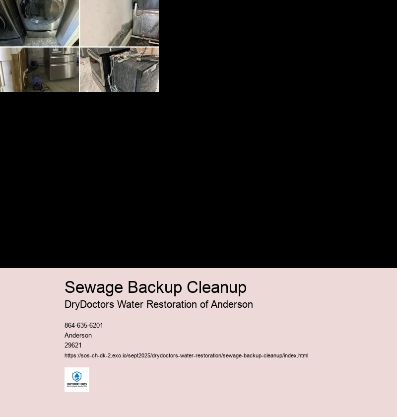 Steps to Take During Sewage Backup Cleanup