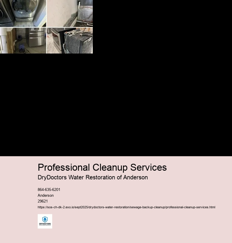 Importance of Professional Cleanup Services