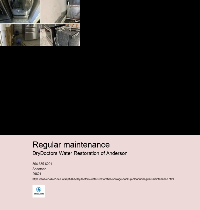 Inspect and assess the extent of damage