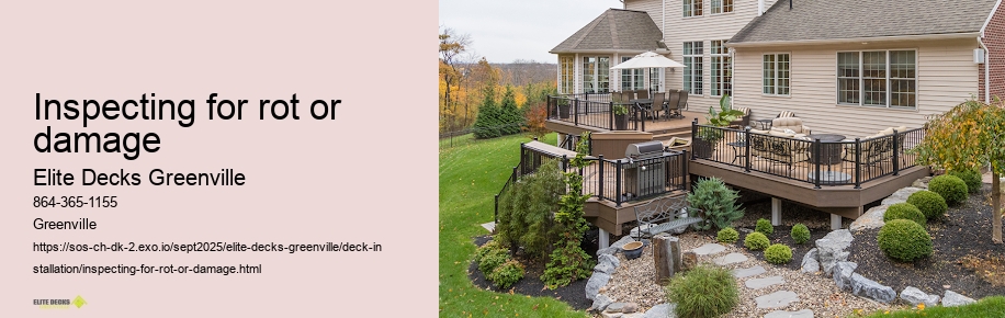 Inspecting for rot or damage