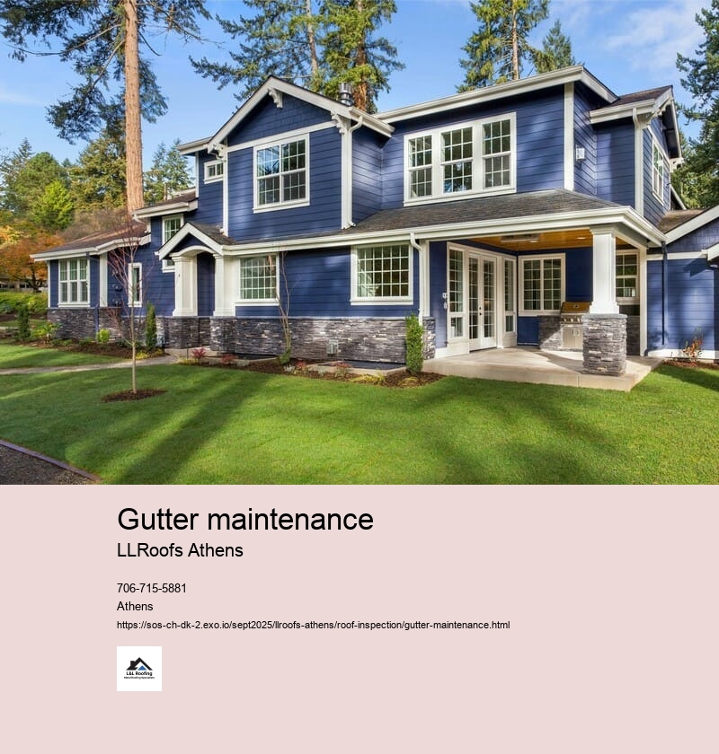 Importance of Gutter Maintenance