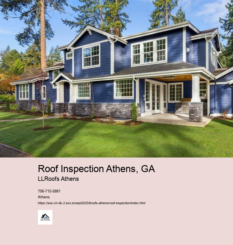 Exterior Roof Inspection