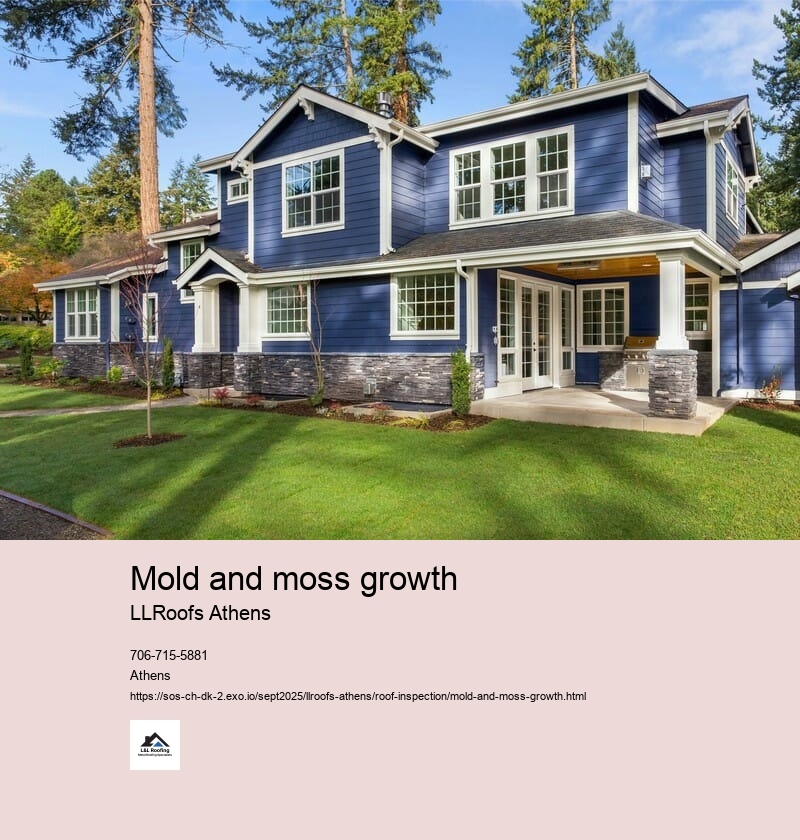 Effects of mold and moss growth on roof structure