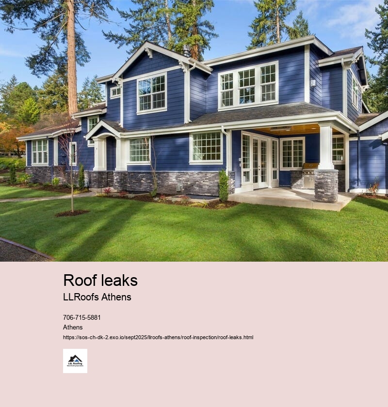 Identifying the Source of Roof Leaks