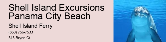 Shell Island Adventures	