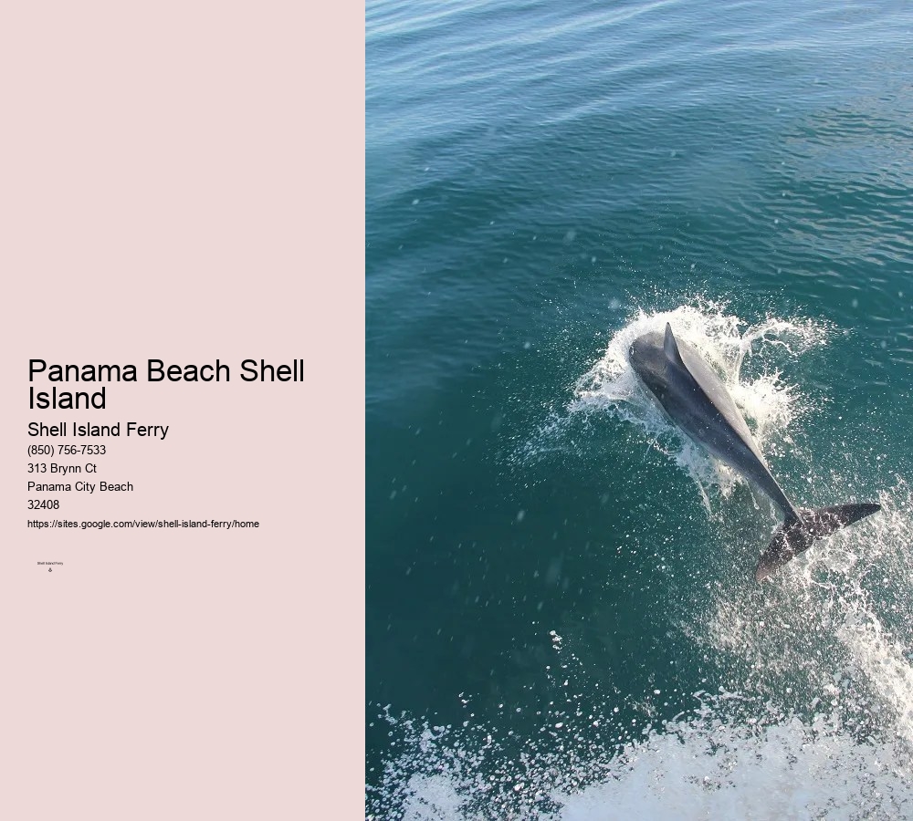 Shell Island Dolphin Tours	