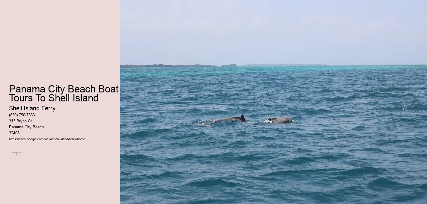 Shell Island Ferry Panama City Beach	