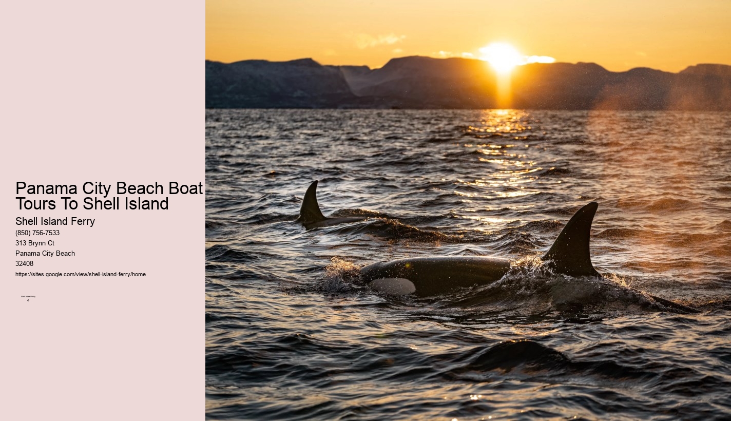 Shell Island Boat Rentals	