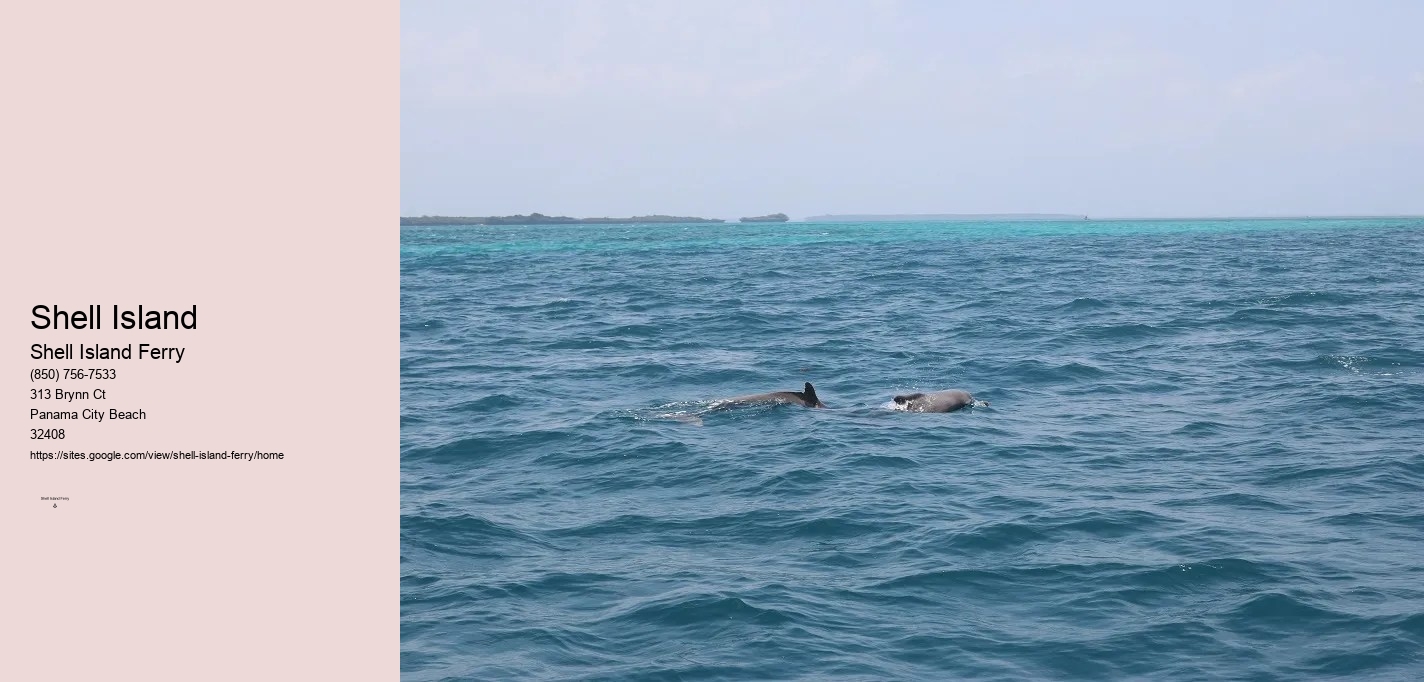 Shell Island Shuttle Panama City Beach Florida	