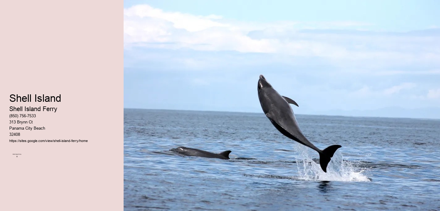 Shell Island Excursions Panama City Beach	