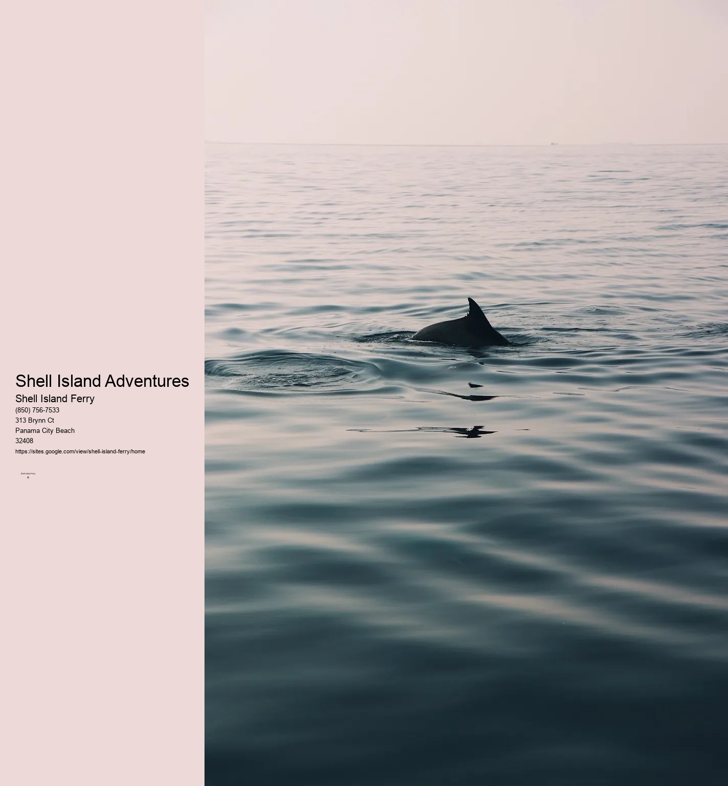 Shell Island Boat Rentals Panama City Beach Fl	