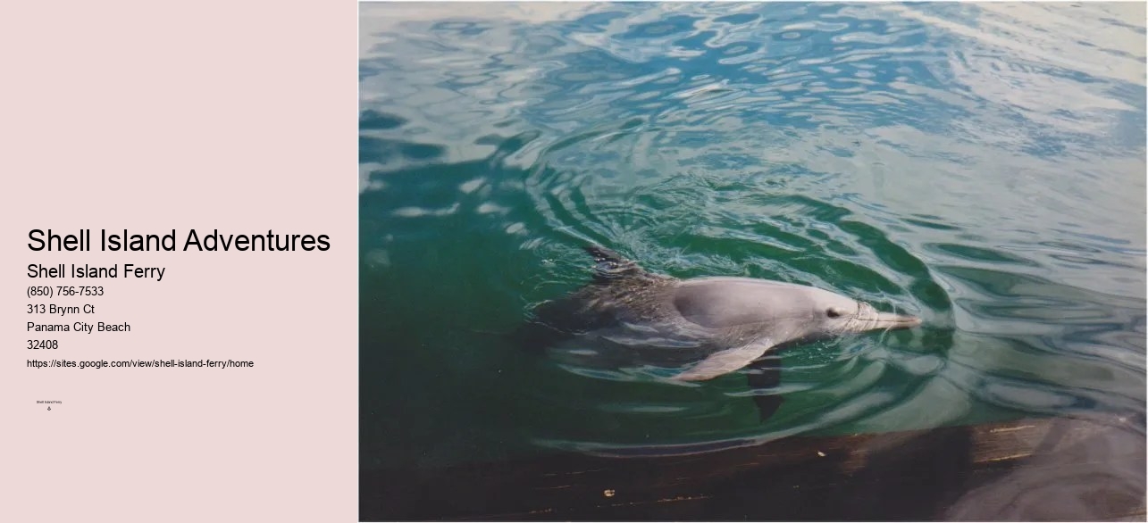 Shell Island Boat Tours Panama City Beach Fl	