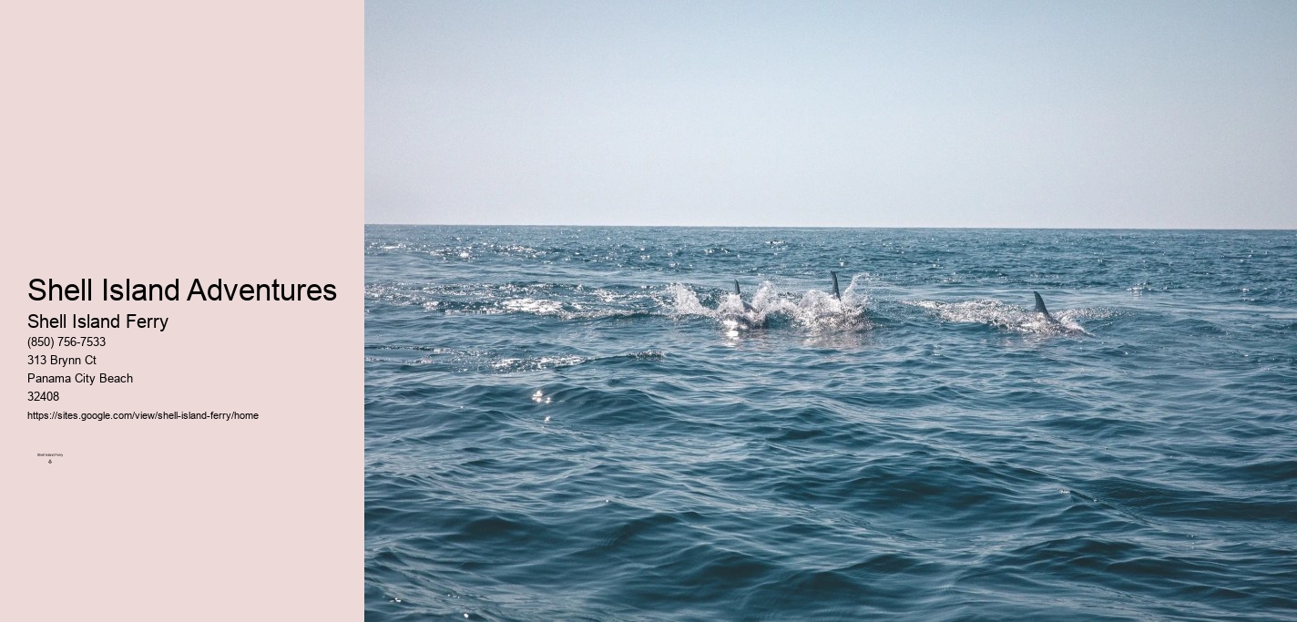 Shell Island Cruise Panama City Beach	