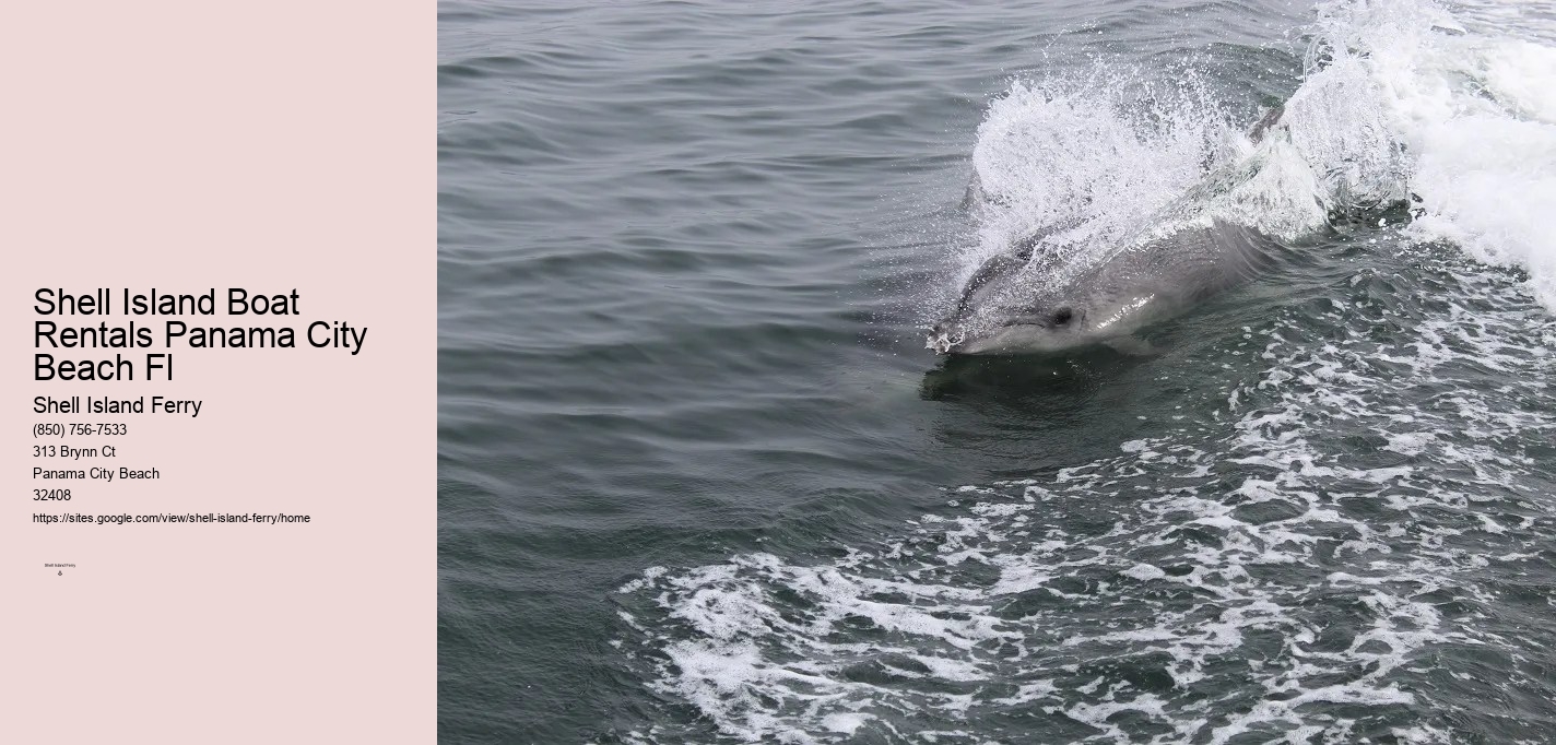 Shell Island Boat Rentals Panama City Beach Fl