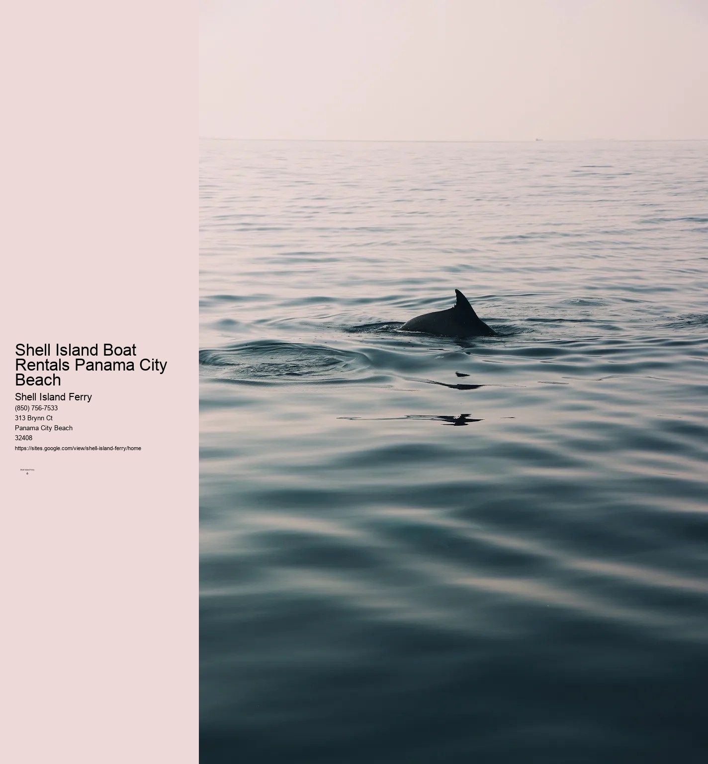 Shell Island Cruise Panama City Beach	