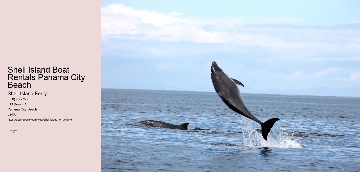 Shell Island Dolphin Tours	