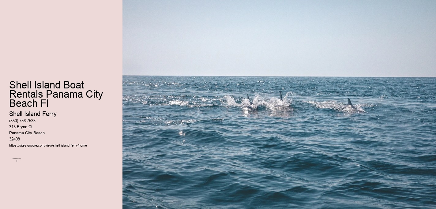 Panama Beach Shell Island	