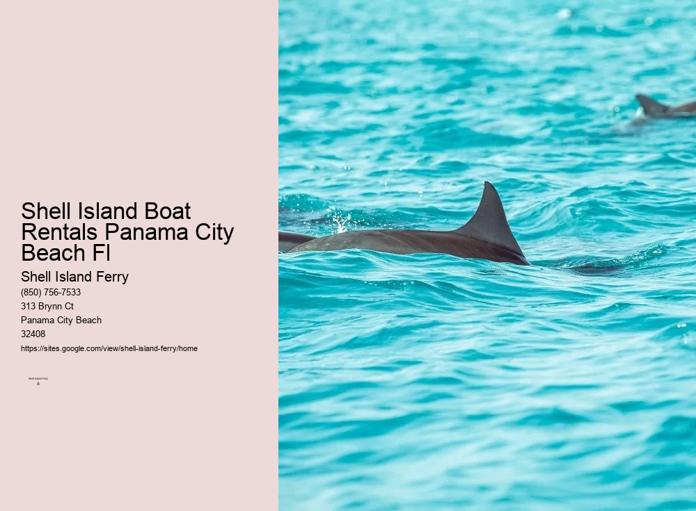 Shell Island Boat Rentals	