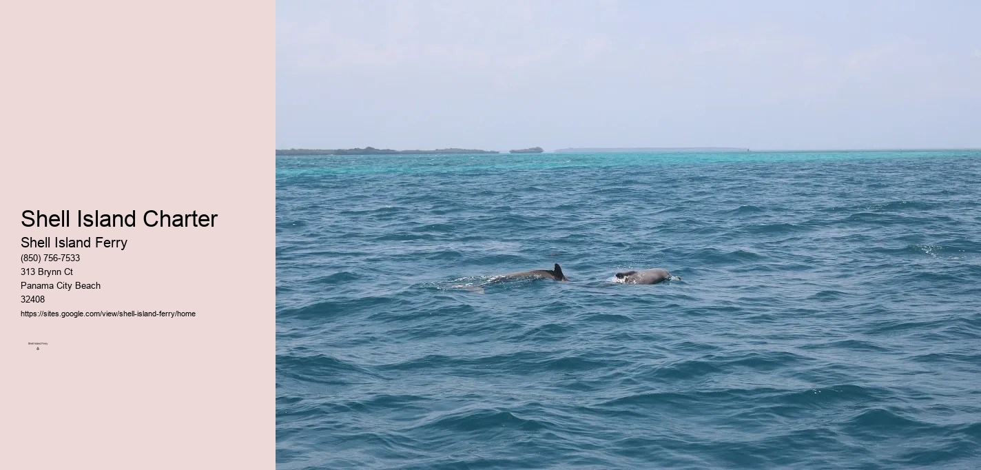 Shell Island Shuttle Panama City Beach Florida	