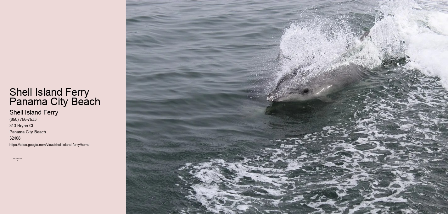 Shell Island Ferry Panama City Beach