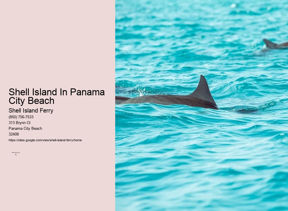 Shell Island Boat Rentals Panama City Beach	