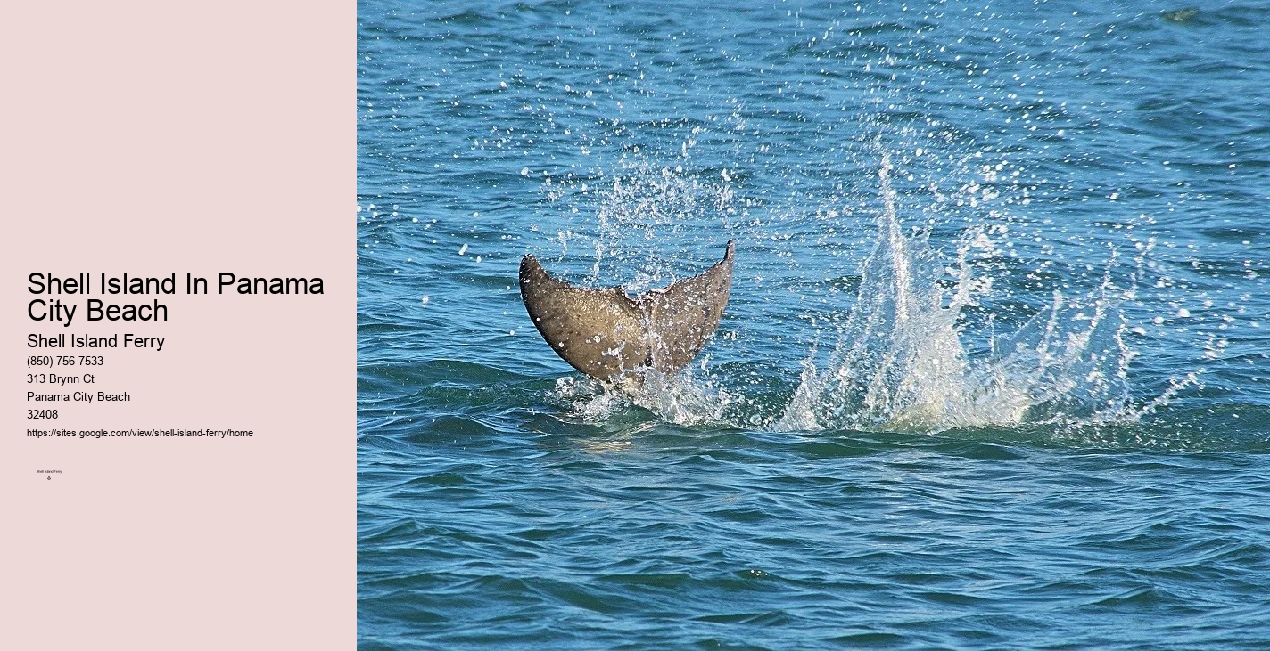 Shell Island Ferry Panama City Beach	