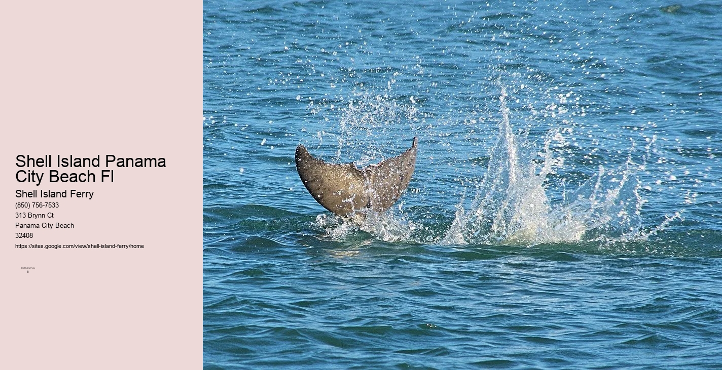 Shell Island Cruise Panama City Beach	