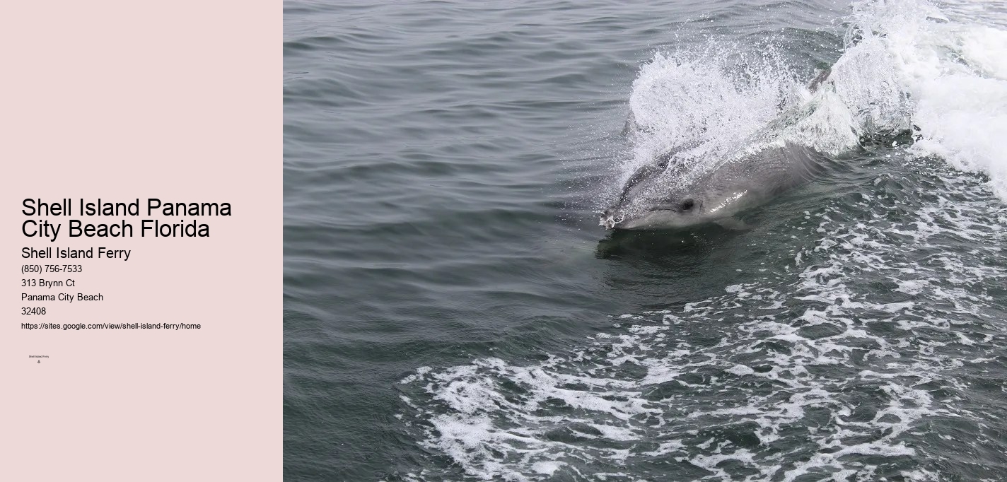 Shell Island Excursions Panama City Beach	