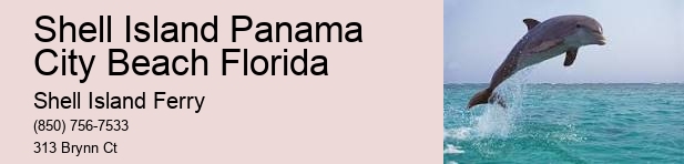 Shell Island Adventures	