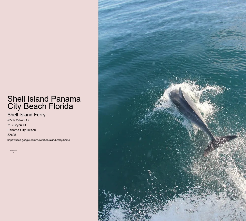 Shell Island Dolphin Tours	