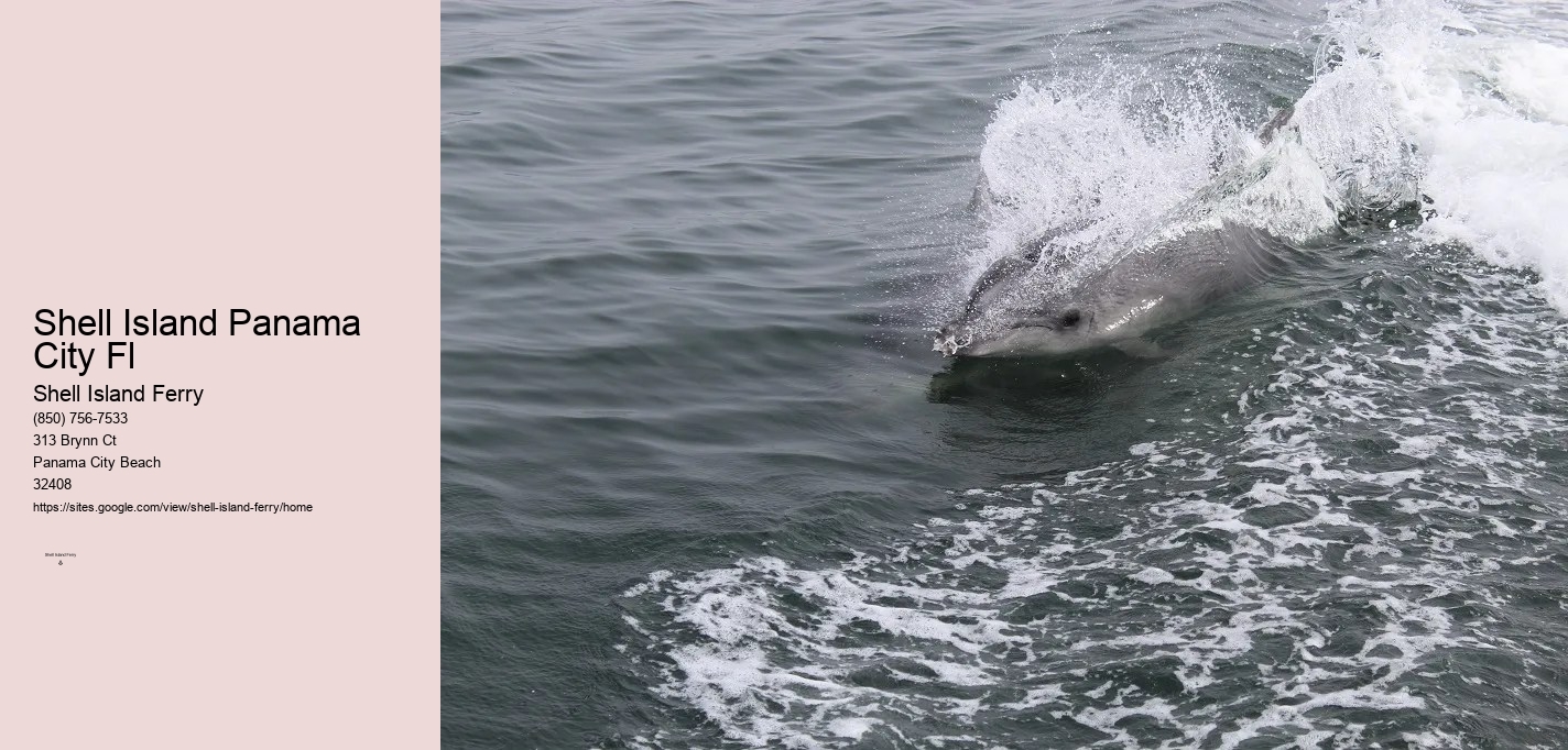 Shell Island Panama City Beach Fl	