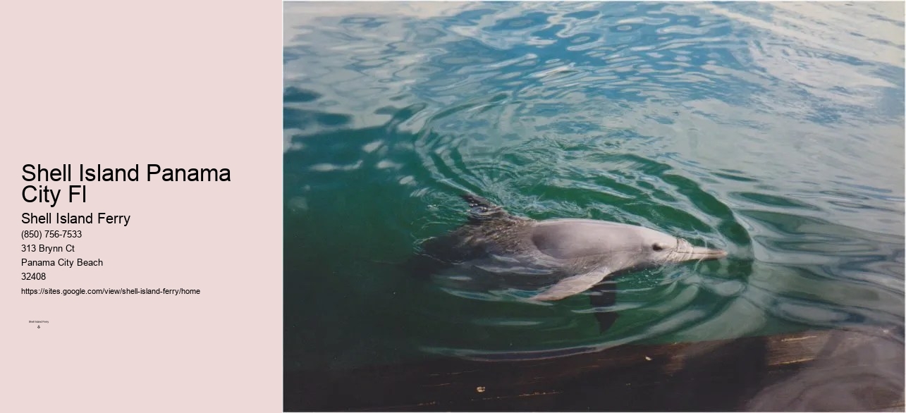 Panama City Beach Boat Tours To Shell Island	