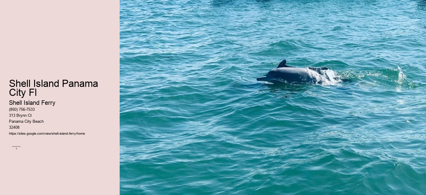 Shell Island Boat Rentals Panama City Beach	