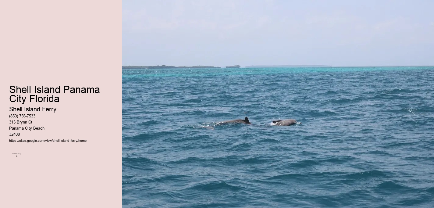 Shell Island Panama City Fl	