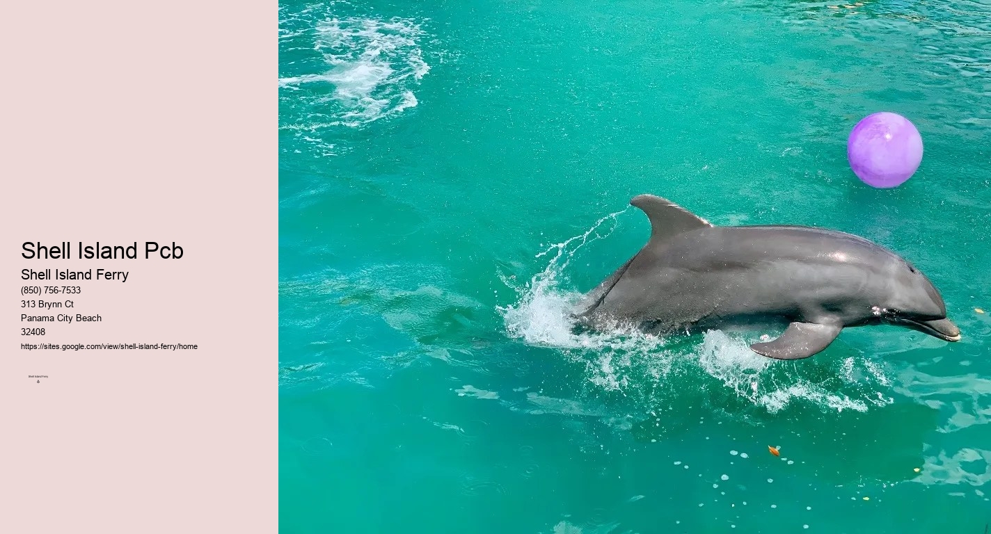 Shell Island Panama City Beach Florida	