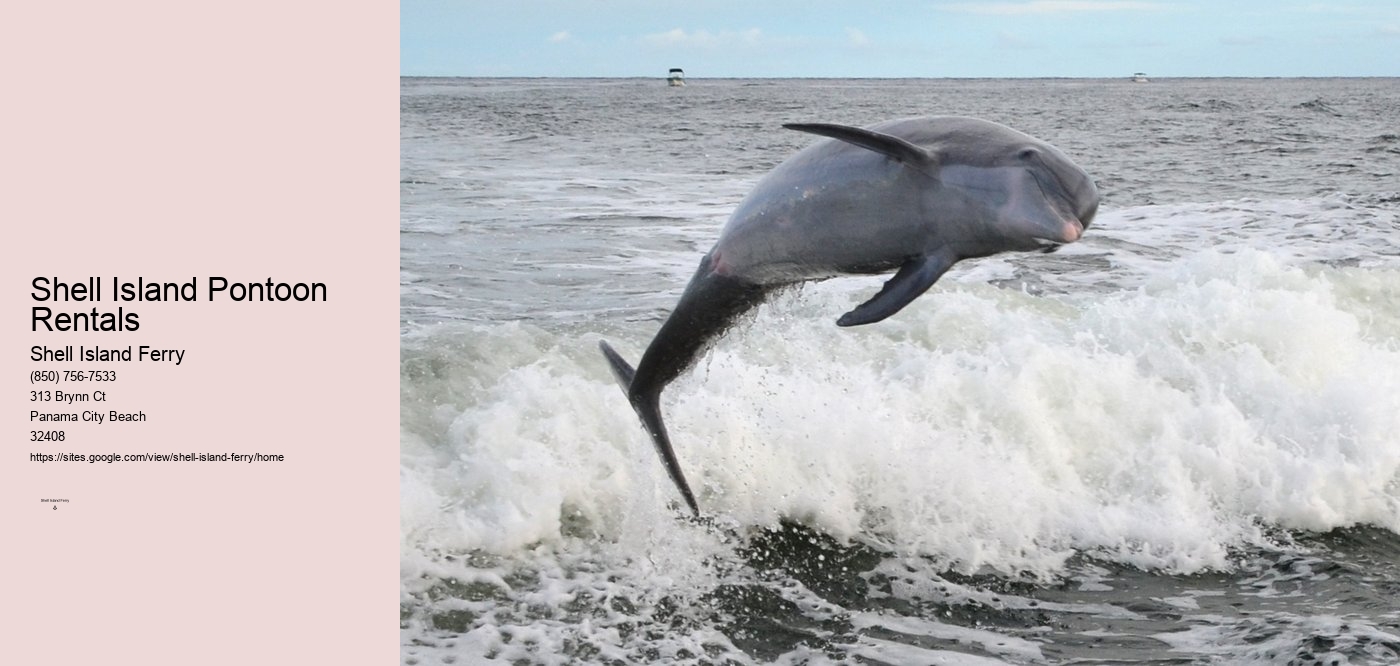 Shell Island Pontoon Rentals