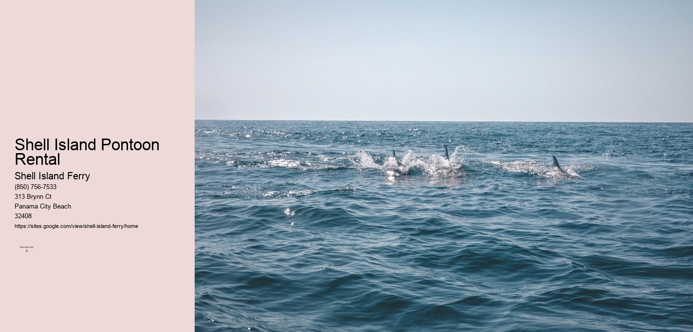 Panama Beach Shell Island	