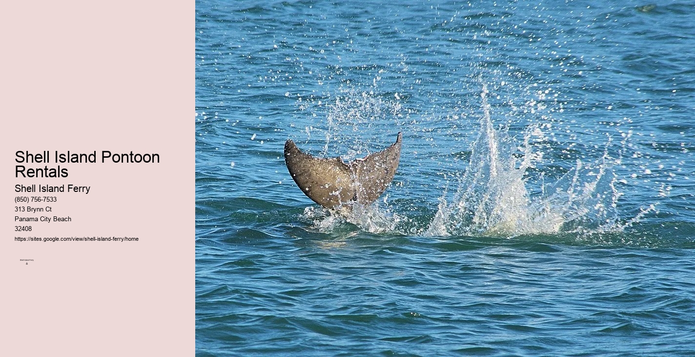 Shell Island Panama City Beach Florida	