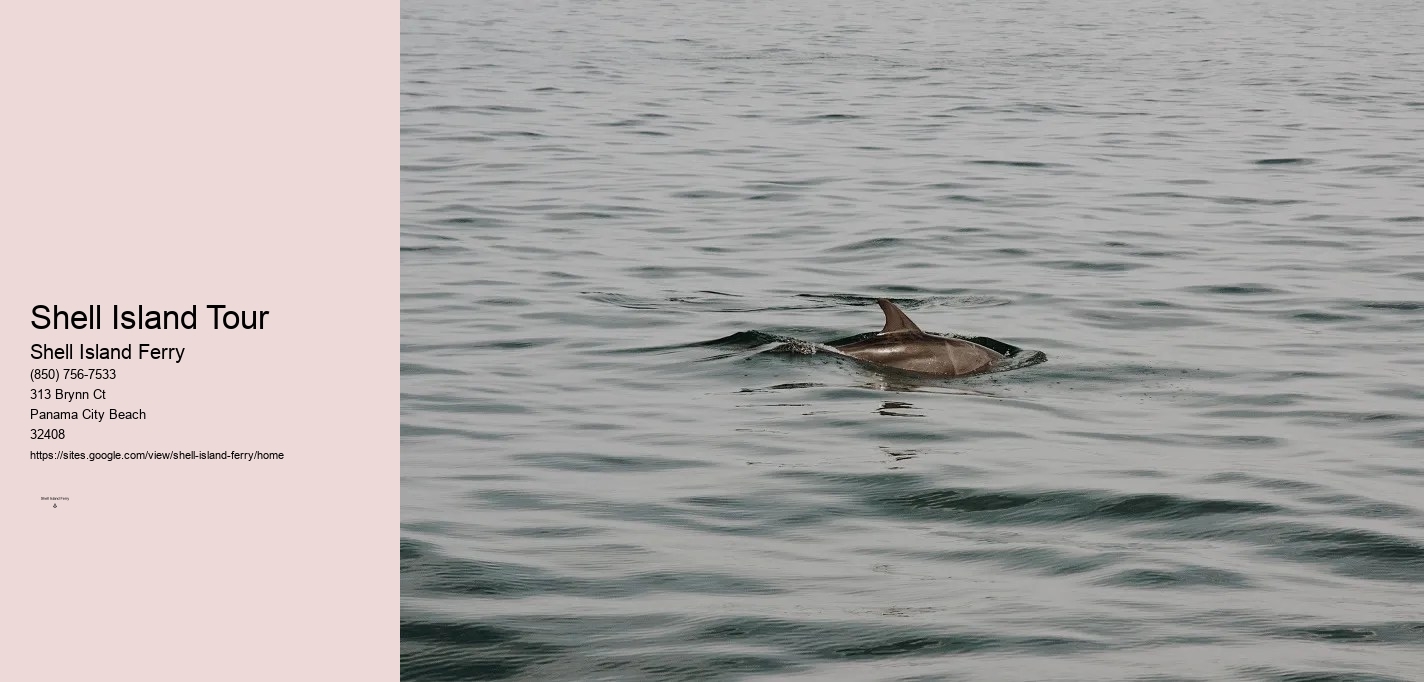 Shell Island Boat Rentals Panama City Beach	