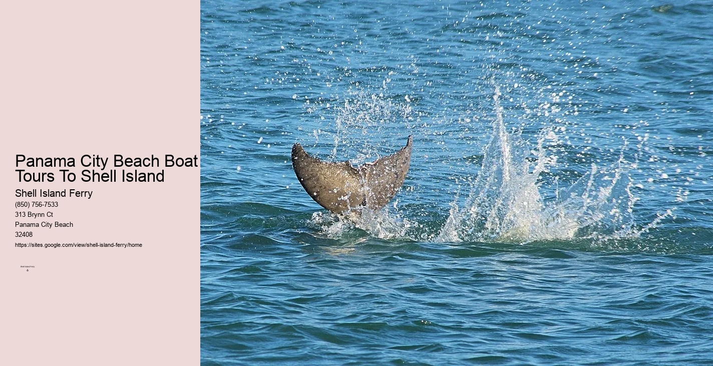 Shell Island Panama City Fl	