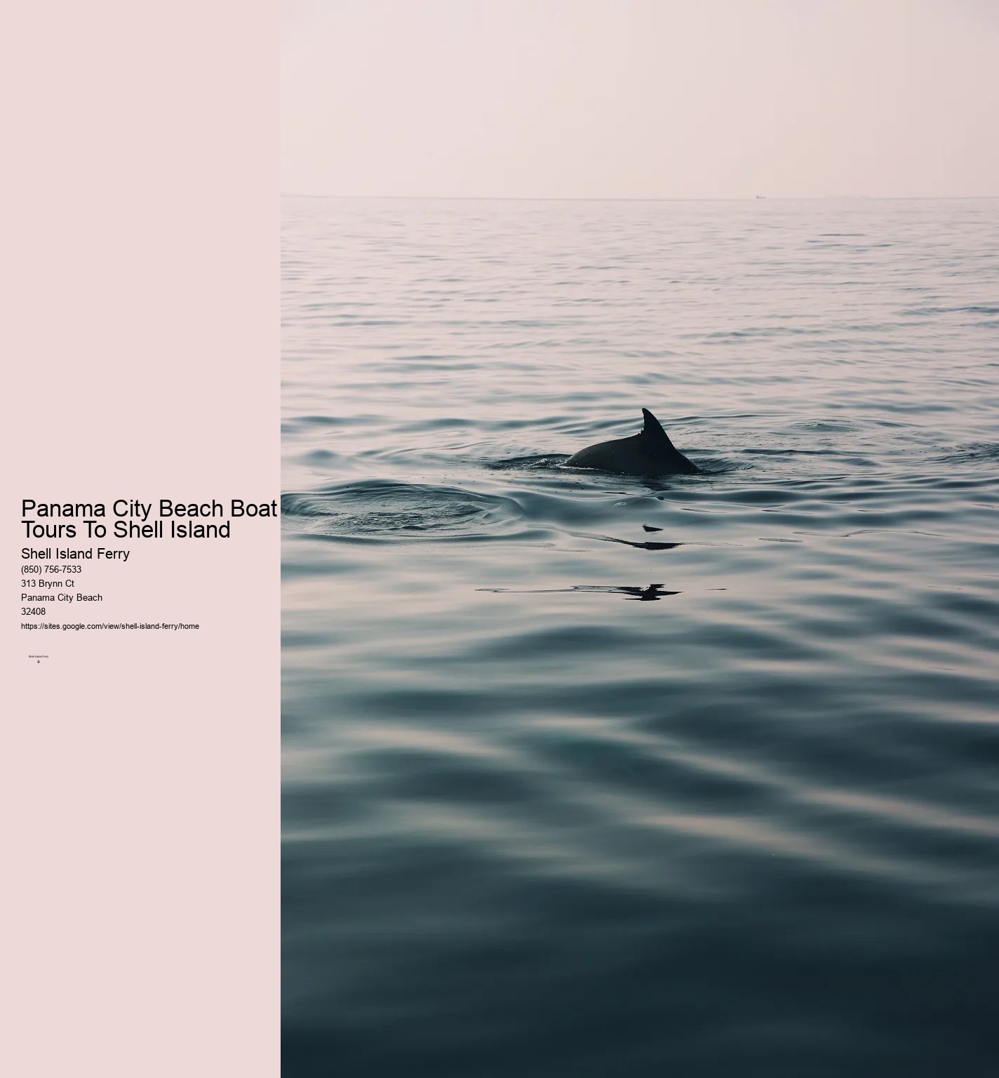 Shell Island Boat Rentals Panama City Beach	