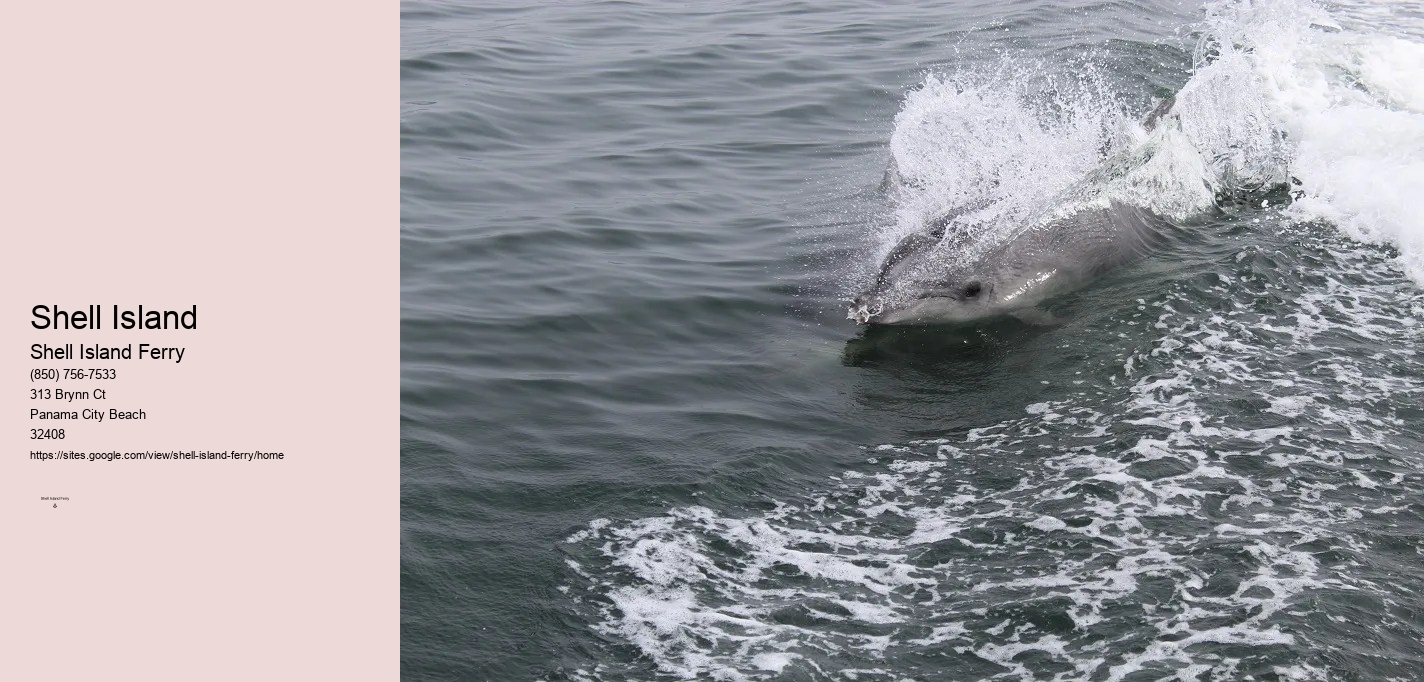 Shell Island Boat Rentals	