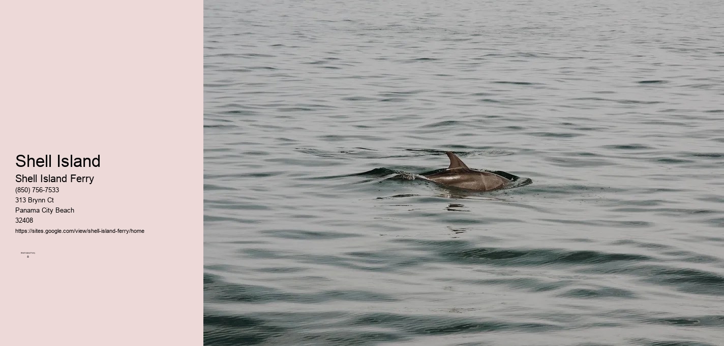 Shell Island Panama City Beach Florida	