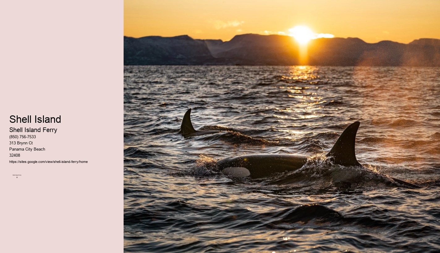 Shell Island Boat Rentals Panama City Beach Fl	