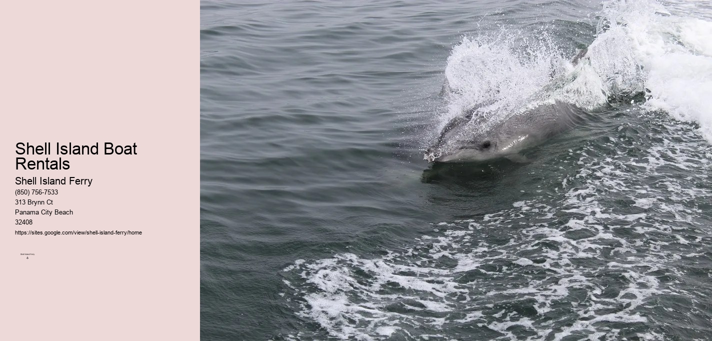 Shell Island Boat Rentals Panama City Beach Fl	