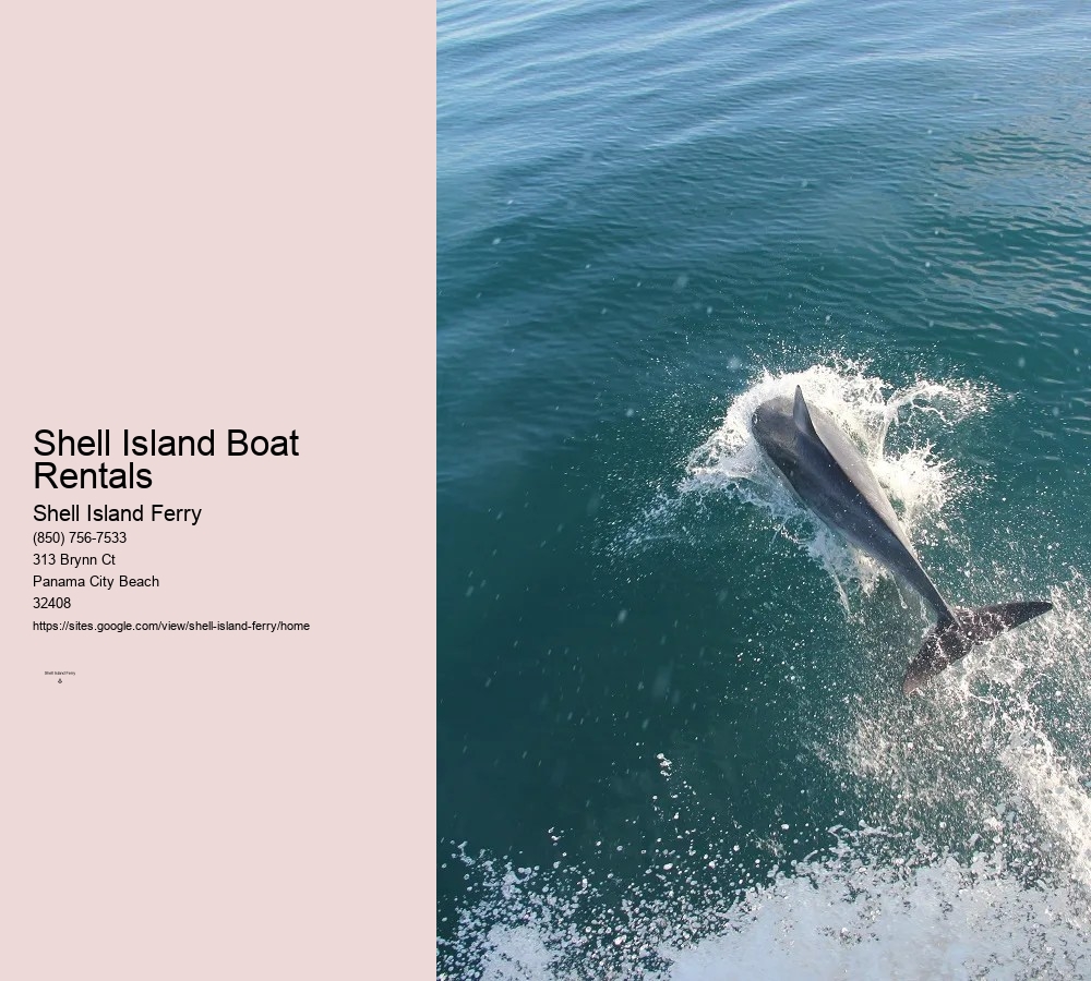 Shell Island Panama City Beach Florida	