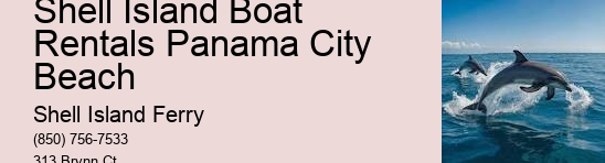 Shell Island Adventures	