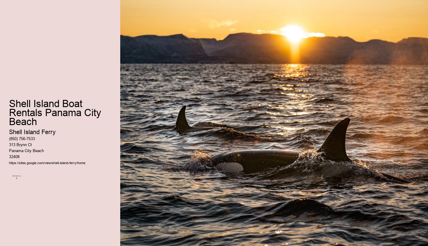 Shell Island Excursions Panama City Beach	